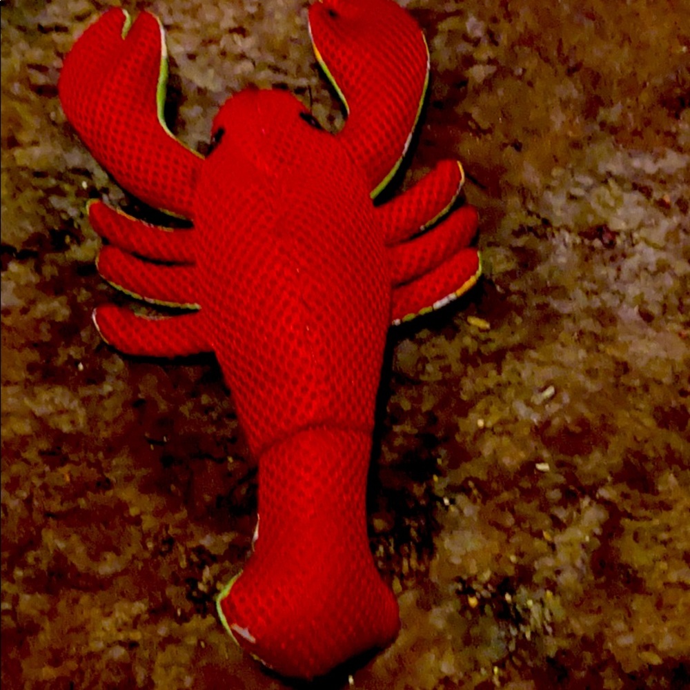 This is a plush crab.